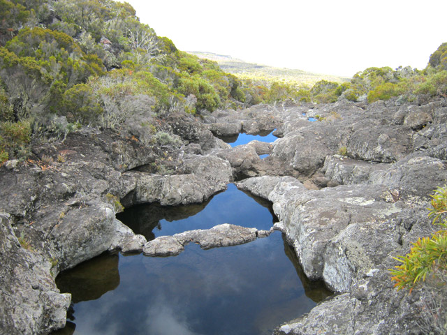 Une autre partie du Fond Simambry