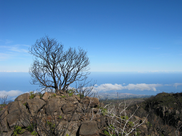 Et toujours des restes des incendies récents