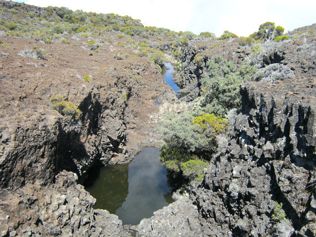 Un canyon du Fond Simambry