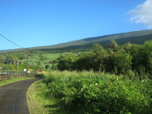Quelques cases et le terrain sera plus loin couvert de canne
