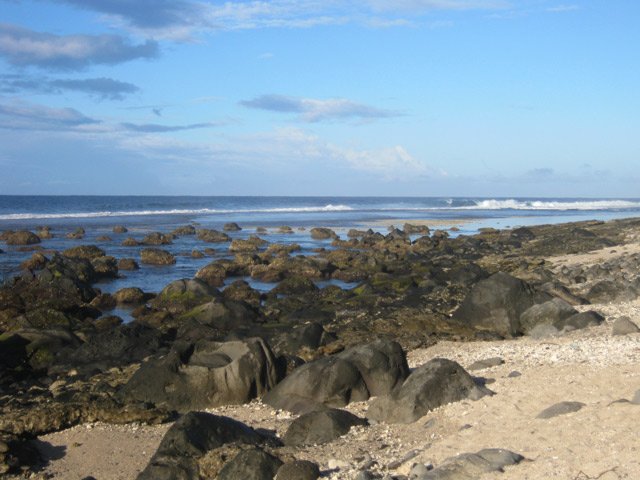 Après la piscine, la plage est constituée de galets et de sable