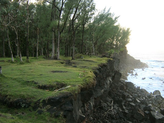 Vraie balade sur gazon ras