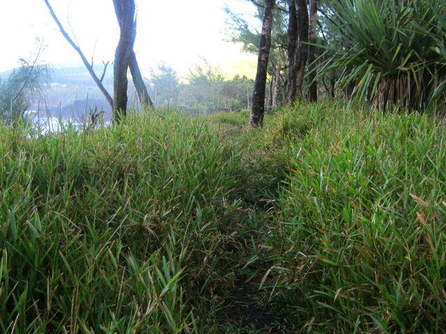Plus difficile dans les grandes herbes, surtout si elles sont mouillées