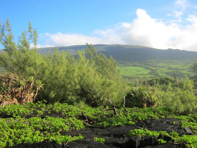 Vue sur les hauts du Baril vers les Puys Ramond