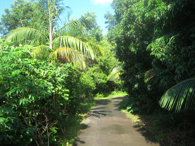 Le très agréable Chemin de la Mer Cassée