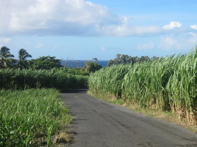 Retour par le Chemin de Ceinture, fin proche de la boucle
