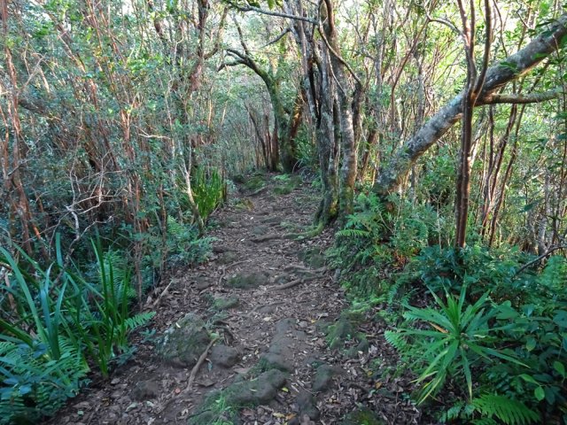 Le sentier longe le haut de la crête