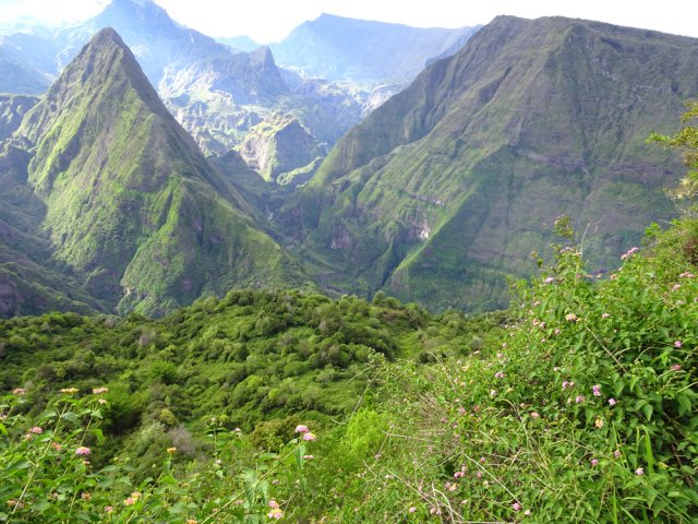 L'îlet Nourry n'est plus cultivé depuis quelques années