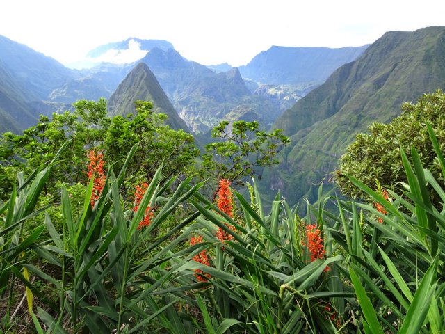 La végétation ne cache jamais les vues sur Mafate