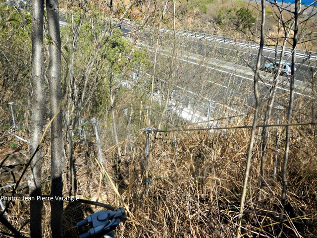 L'état du sentier en juillet 2016 montre qu'il est peu fréquenté