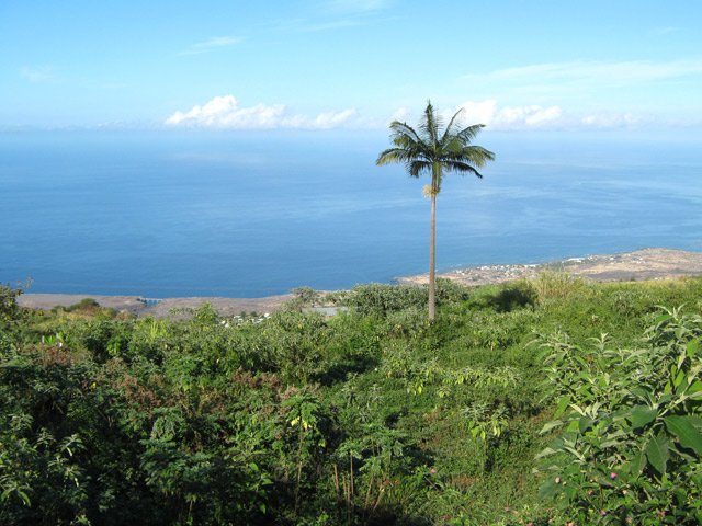 Les champs abandonnés ont vite fait de se retrouver en friches