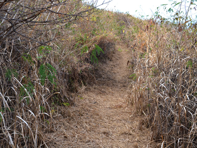Le sentier qui rejoint la piste à l'escalier sous le pont
