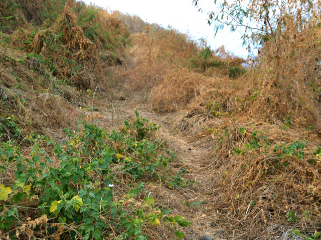La seule vraie difficulté le long de la réserve d'eau de RN1