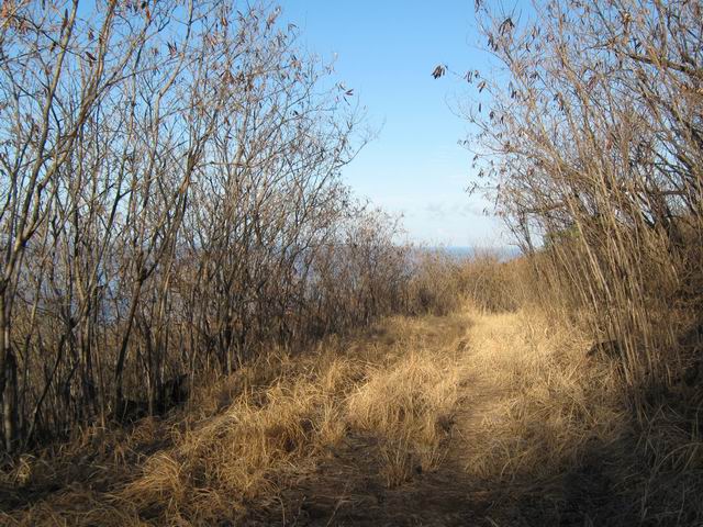 La piste qui mène à la Grande Ravine, interdite aux fumeurs ! (Photo 2010)