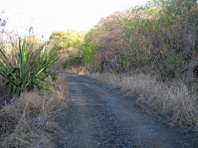 Le chemin vers la Petite Ravine après avoir passé le pont sur la RN