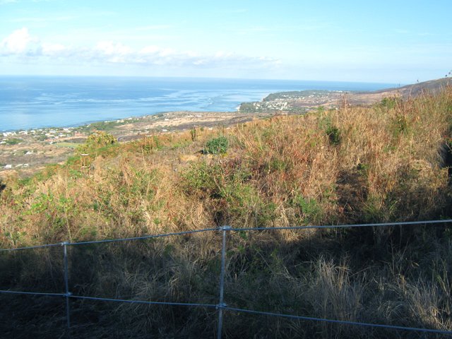 La campagne est vraiment triste, surtout si elle est brûlée au soleil