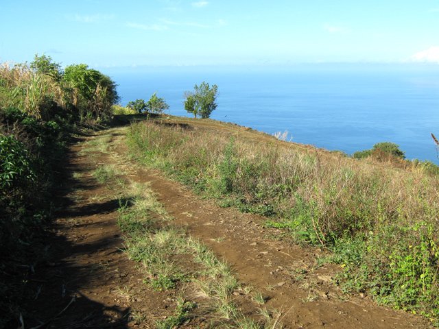 Une grande partie de la montée s'effectue sur piste