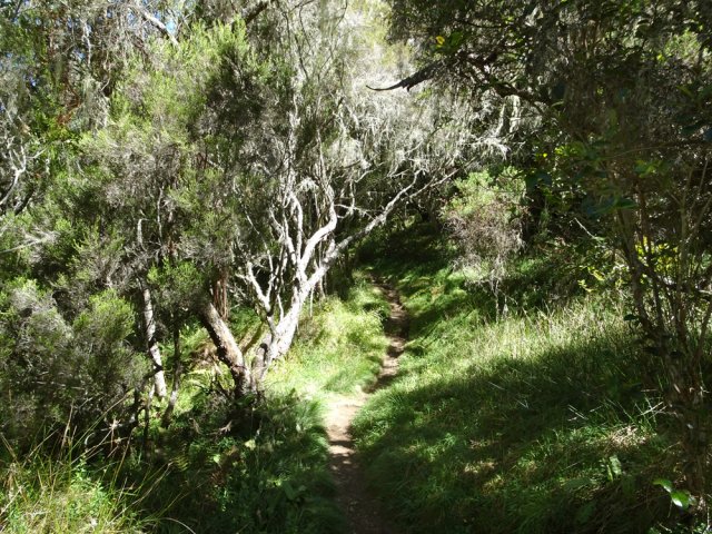 Le sentier est étroit mais de bonne qualité