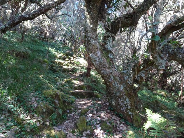 Dernière montée avant le point de vue