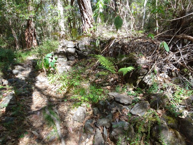 Une ruine, signe que l'endroit était cultivé au siècle dernier