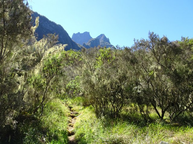 Portion plate sur sentier herbeux dans les branles