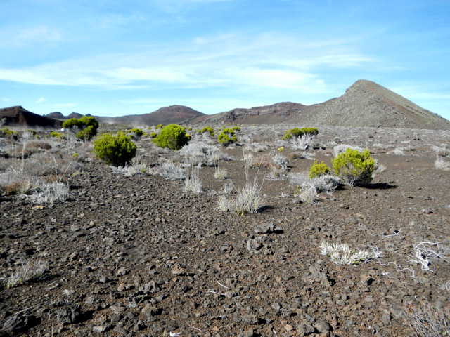 Dernier effort au niveau du Demi-Piton