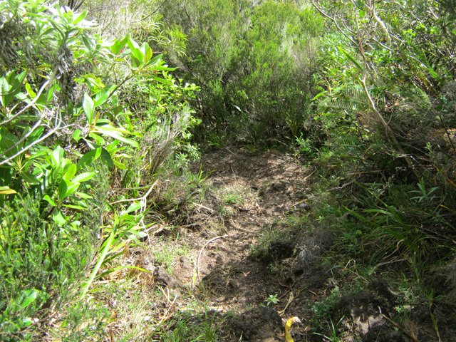Un des nombreux lacets de la rude montée vers la Plaine des Sables