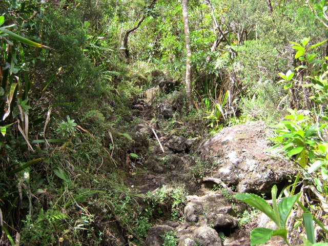 Quelques portions rocailleuses dans les bois de couleurs