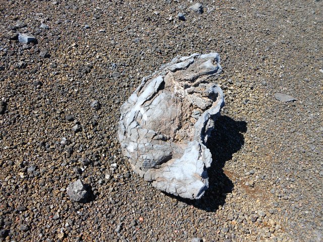 Un restant de bombe volcanique sur le bord du sentier