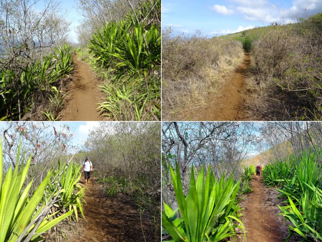 Les lacets sont longs mais faciles et agréables dans les chocas