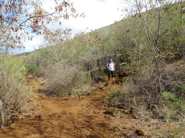 Nombreux croisements tout au long de la descente