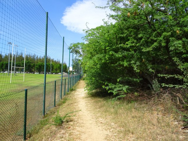 Contourner les terrains de sport en longeant le grillage