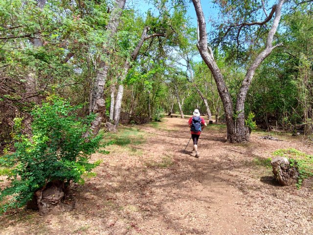 Préférer l'allée centrale de l'aire du parcours sportif