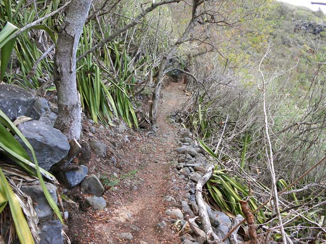 Une portion du sentier des Rampes qui rejoint la Redoute à la Montagne, réhabilité fin 2013