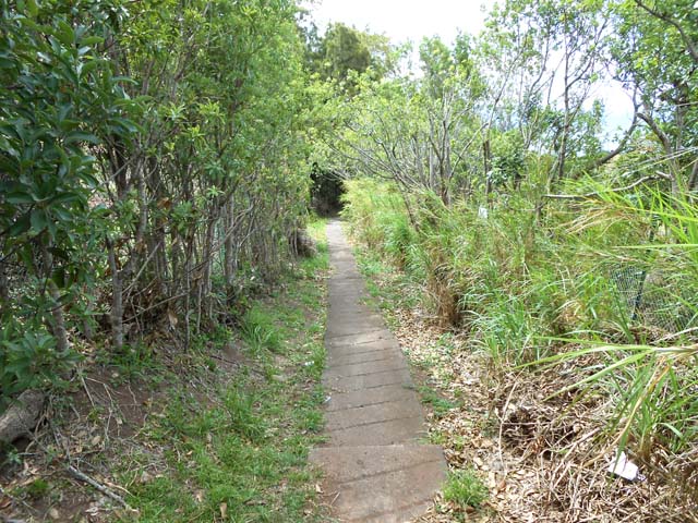 La fin du sentier avant le stade des Bambous
