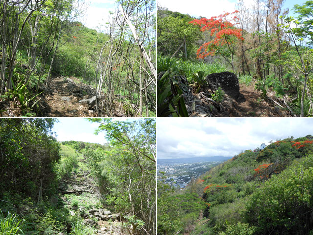 Quelques idées du sentier rejoignant le point de vue sur Saint-Denis