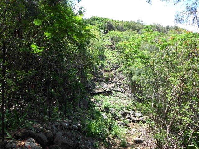 Le sentier escarpé et caillouteux remontant vers la Vigie