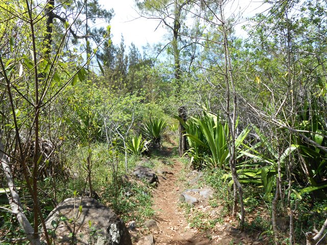 Une partie plate vers le rempart