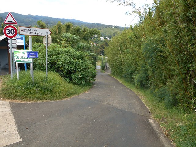 Début du Chemin de la Grande Chaloupe, bordé de bambous
