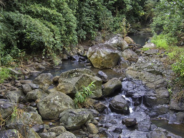 La Ravine à Jacques aux eaux souvent blanches