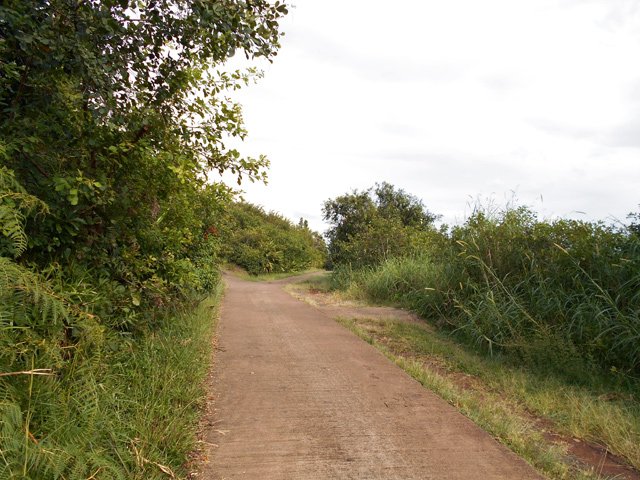 Une autre portion de cette étroite piste bétonnée