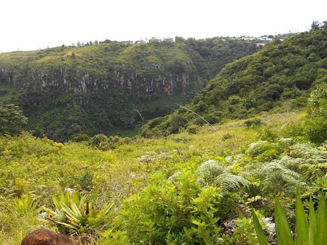 Le rempart de la Ravine à Jacques et le village des Bambous