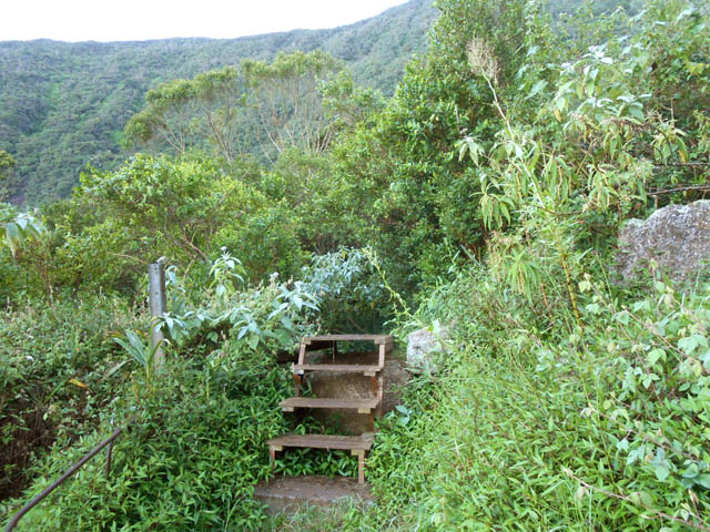 C'est un peu après cet escalier qu'il faut chercher le début du sentier