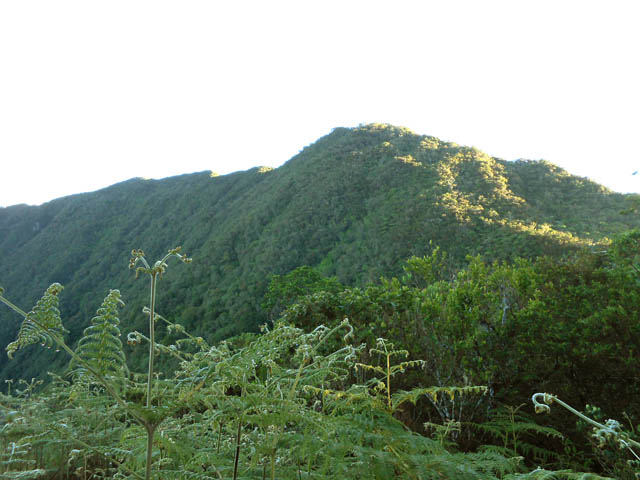 Le premier piton aperçu en surgissant sur le sentier : le Piton Batard