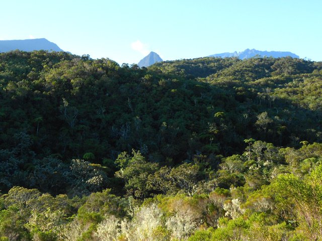 La Roche Écrite, le Cimendef et la Gros Morne au loin