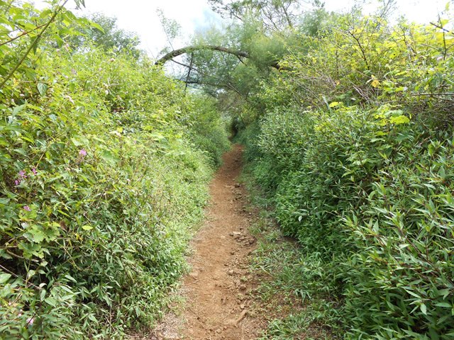 Fin de la boucle dans les jouvences et pestes