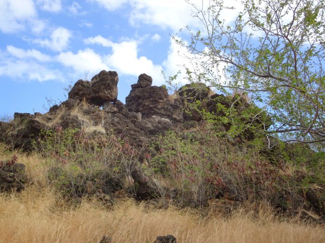 Au point culminant du piton des Roches Tendres ce sont des roches dures !