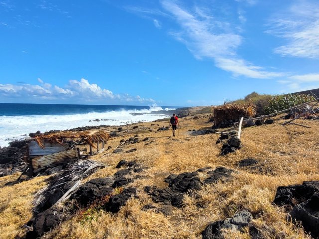 Des ébauches de temples tamouls rustiques sont érigées en bordure d'océan