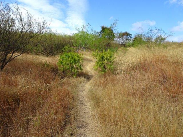 Emprunter plus haut le sentier vers le bassin de récupération des eaux