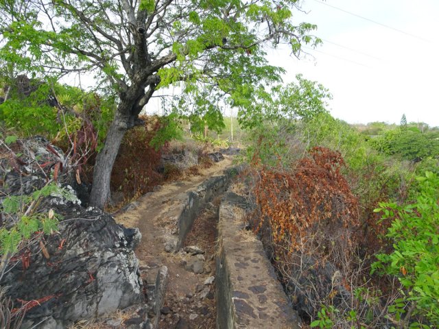 Un autre tronçon du canal, à sec depuis bien longtemps